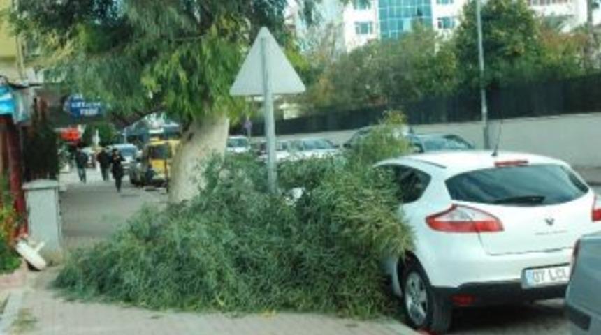 Manavgat'ta Şiddetli Fırtına