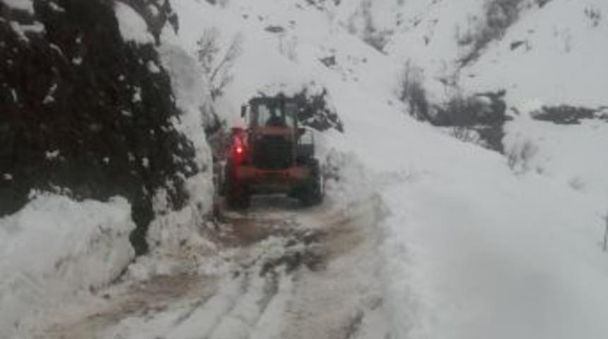 Yurtta Kış: Batman'da 15 K&ouml;y Ve 30 Mezranın Yolu Kapandı