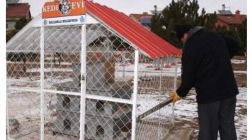 Sel&ccedil;uklu&rsquo;da Hayvanlar Unutulmadı