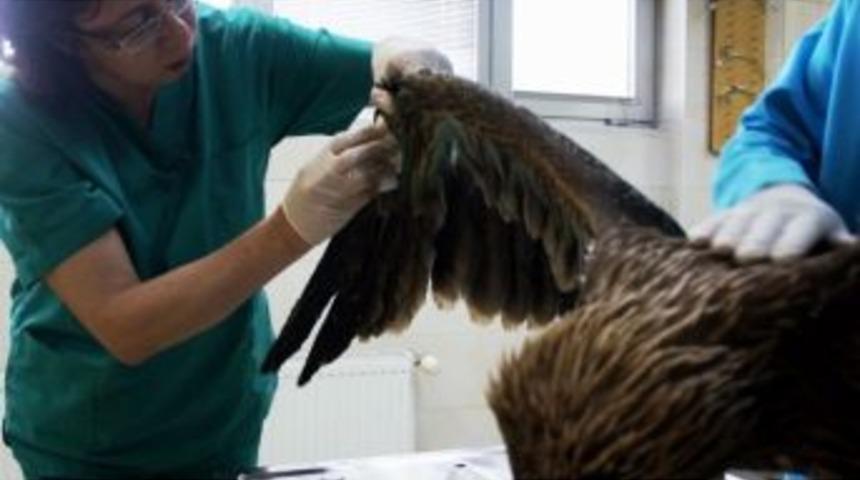 "r&uuml;zgar" Hem Tedavi Ediliyor, Hem U&ccedil;mayı &Ouml;ğreniyor