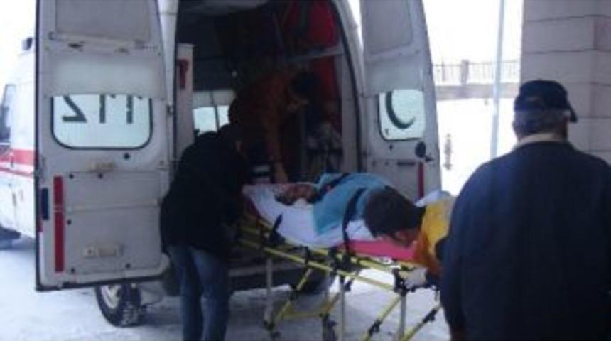 92 Yaşındaki Kadın K&ouml;peklerin Saldırısına Uğradı