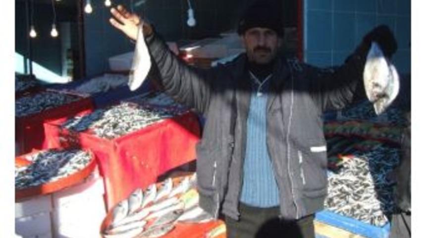 Yerk&ouml;y&rsquo;de Balık Satışları Arttı