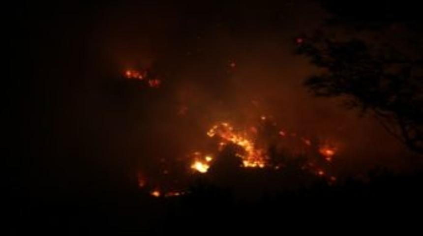 Mersin'de Orman Yangını