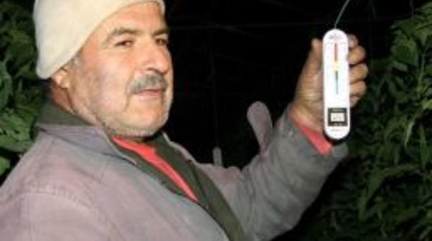 Sera &Uuml;reticilerinin "don N&ouml;beti"