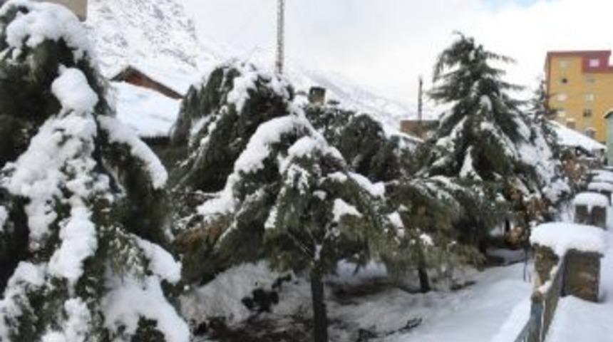 Şemdinli&rsquo;de Kar Esareti