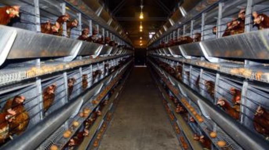 &Uuml;retim Kompleksi Gibi &Ccedil;alışan Cezaevi Talebe Yetişemiyor