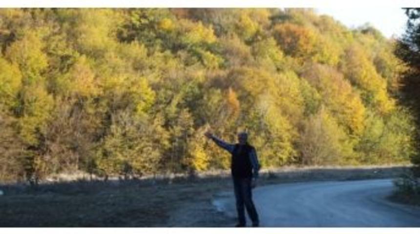 Kırklareli Derek&ouml;y'e Altın Madeni Sahası Kurulması