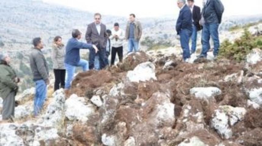 Toroslar Sedir Ve Kızıl&ccedil;amla Bezenecek