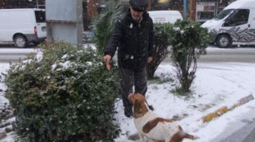 Bafra&rsquo;da Sokak Hayvanlarını Esnaf Besliyor