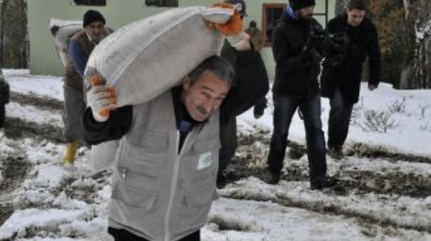 (d&uuml;zeltme) Karda A&ccedil; Kalan Geyikler İ&ccedil;in Ormana Yiyecek Bırakıldı