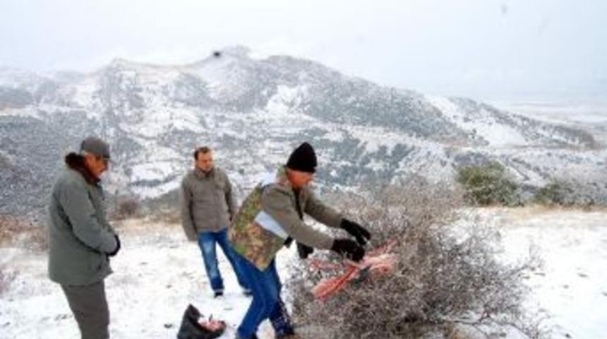 Yabani Hayvanlar Beslendi