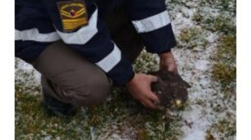 Jandarmanın Yardım Eli Bu Defa Kızıl Şahin Kuşa Ulaştı