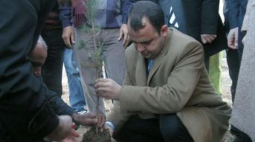 Kızıltepe'de Her Birey I&ccedil;in Bir Fidan Dikilecek