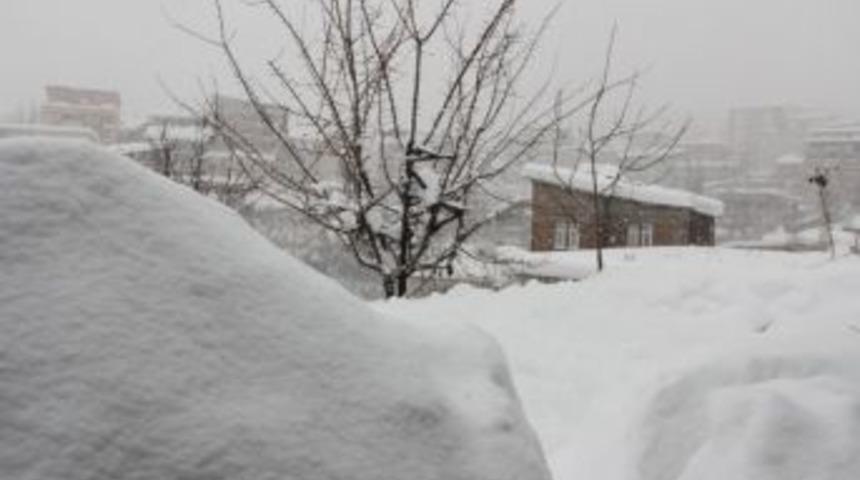 Hakkari Kar Esareti Altında