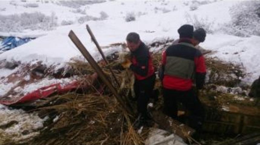 Tekrar - &Ccedil;atı &Ccedil;&ouml;kt&uuml;, 20 Hayvan Telef Oldu