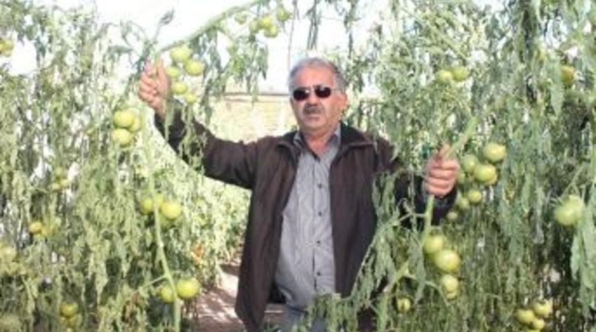 Seraları Kuzey R&uuml;zgarı Vurdu