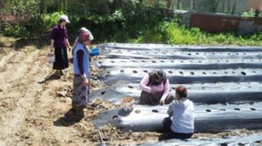 Kadın &Ccedil;ift&ccedil;ilere Kurs A&ccedil;ılacak