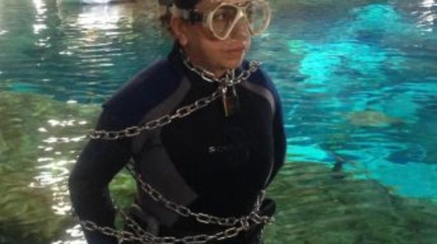 K&ouml;pek Balıklarının Arasında Tehlikeli G&ouml;steri