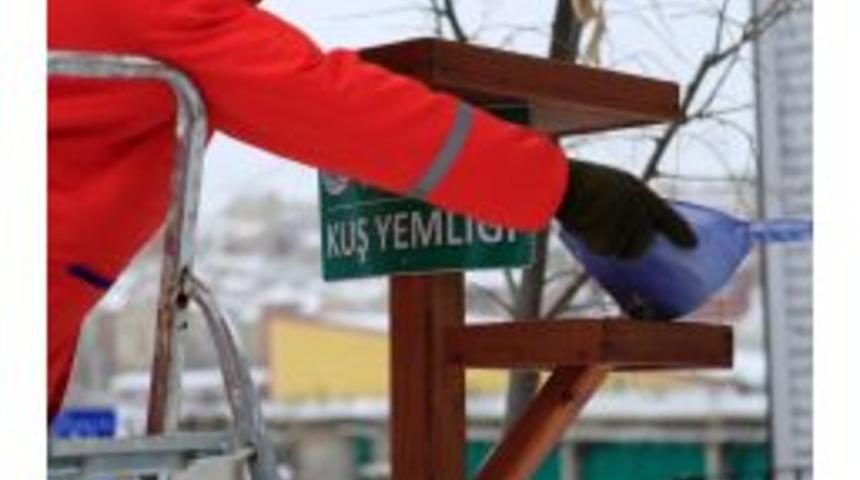 Belediye Ekipleri Kuşlara Yem Bıraktı