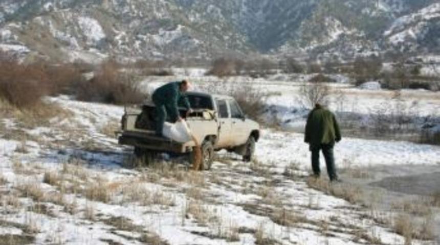 Yaban Hayvanları İ&ccedil;in Doğaya Yem Bırakılıyor