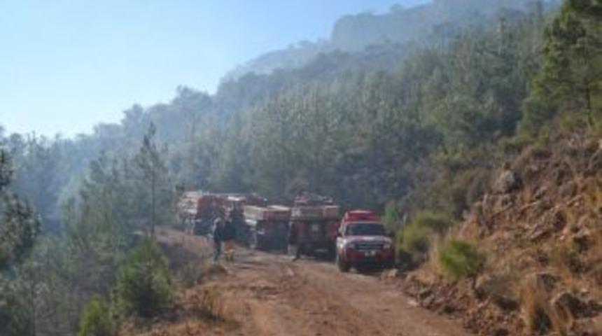 Aydıncık'taki Orman Yangını