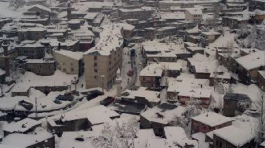 Bitlis'te Kar Seferberliği Yaşanıyor