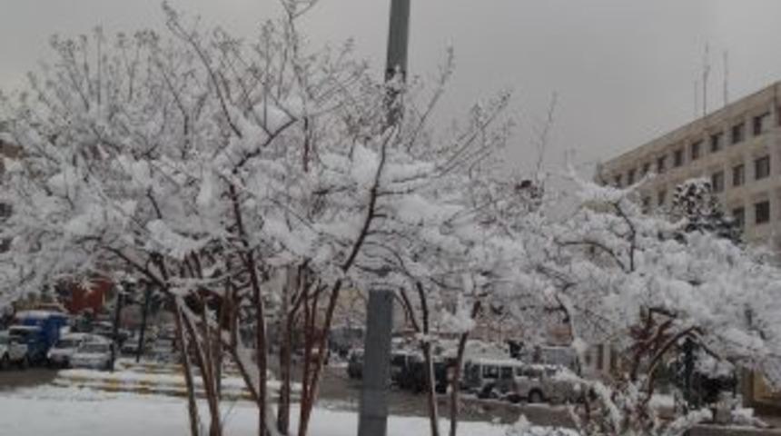 Batman'da En G&uuml;zel Kar Manzarası &Ccedil;ekene &Ouml;d&uuml;l