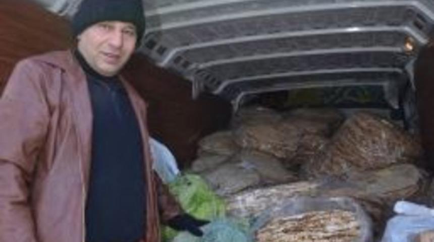 Gurbette Y&ouml;resel &Uuml;r&uuml;n Hasreti &Ccedil;ekenlere Hizmet