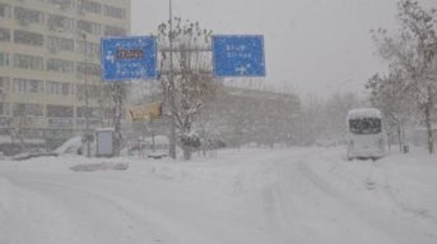 Siirt&rsquo;te Hayat Durdu