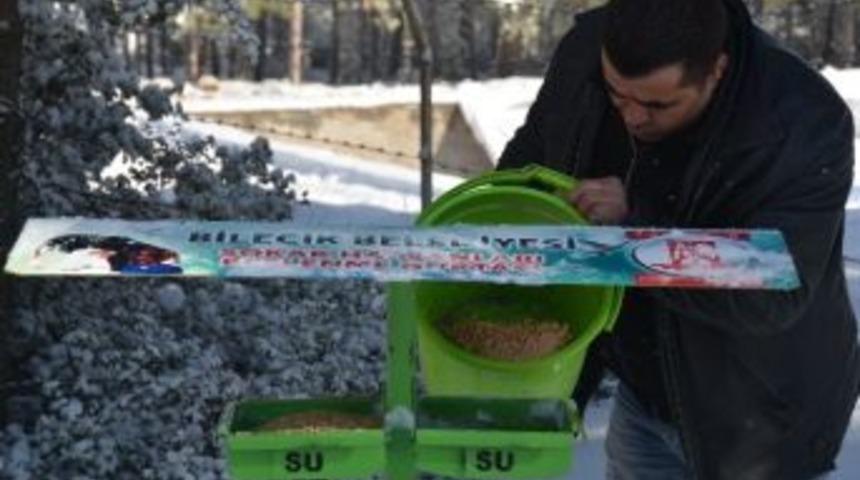 Bilecik Belediyesi'nden Sokak Hayvanlarına Destek