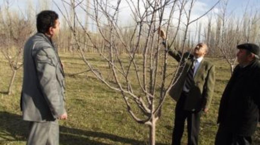 Aksaray'da Çiftçilere Tarım Ve Hayvancılık Eğitimi