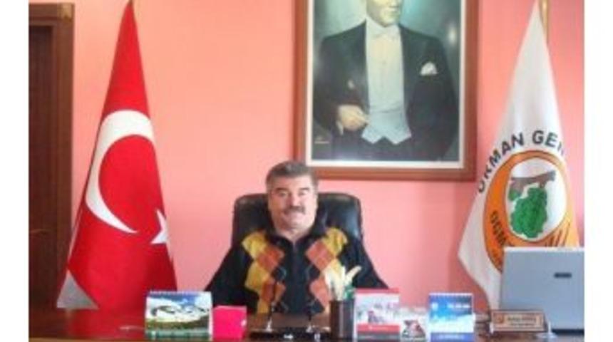 Kastamonu'da Kaçak Orman Kesimi Operasyonu: 3 Gözaltı