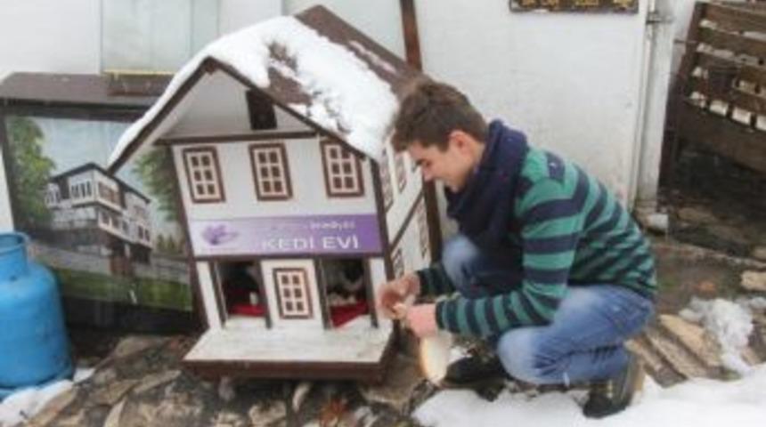Sokak Kedileri İçin Safranbolu Mimarisinde Evler Yapıldı