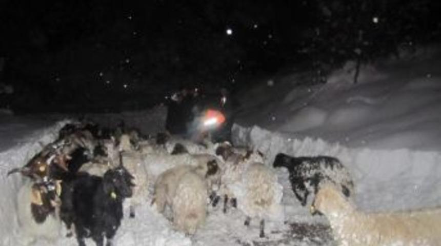 Dağda Mahsur Kalan 3 &Ccedil;oban Ve S&uuml;r&uuml;s&uuml; Kurtarıldı