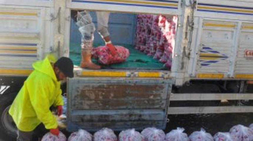 Kadirlili Kadınlar Buz Gibi Suda Ekmek Kavgası Veriyor