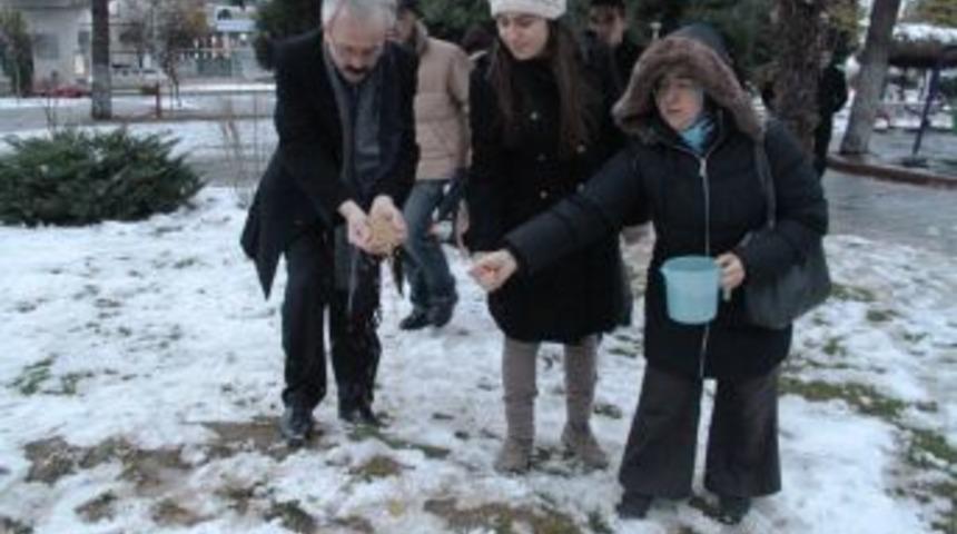 Karda Yiyecek Bulamayan Kuşlara Belediyeden Yem Desteği