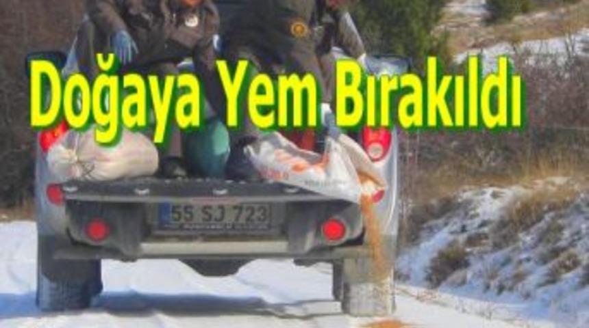 Doğaya yem bırakıldı