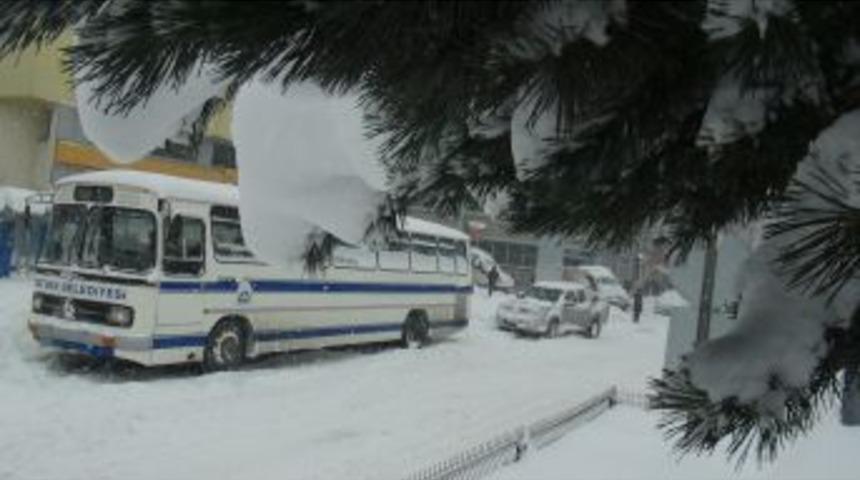 Bitlis’te Evler Ve Arabalar Kara Gömüldü