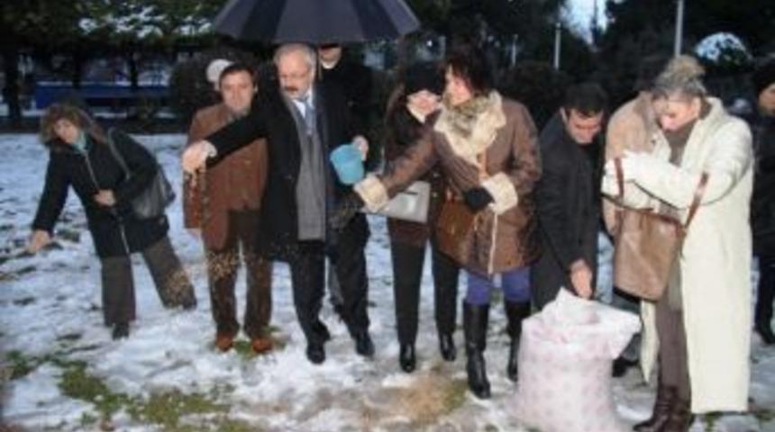 İlkadım Belediyesi’nden Kuşlara Yem Desteği