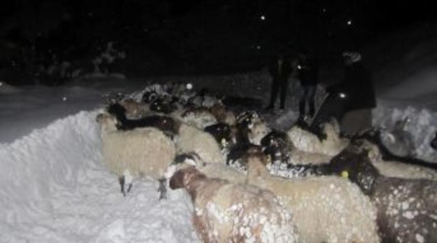 Dağda Mahsur Kalan 3 &Ccedil;oban Ve S&uuml;r&uuml;s&uuml;n&uuml; AFAD Ekipleri Kurtardı