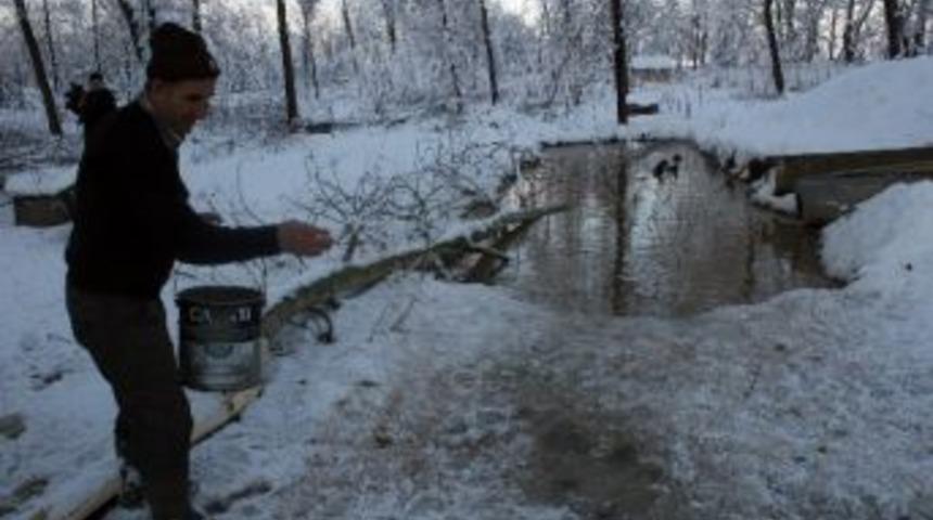 D&uuml;zce&rsquo;de Yaban Hayvanlarına Yem Bırakıldı
