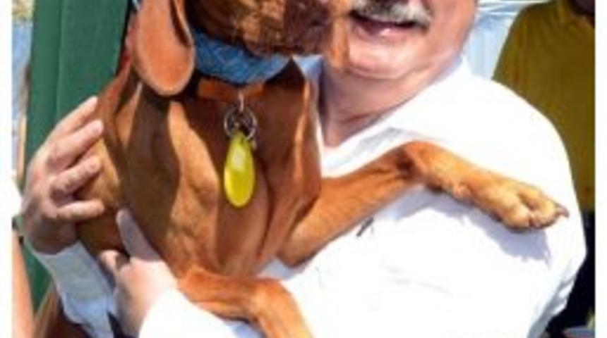 Hayvan Ambulansı 24 Saat Hizmette