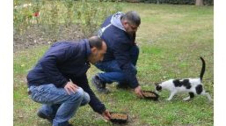 İzmir'de Can Dostları Da Unutulmadı