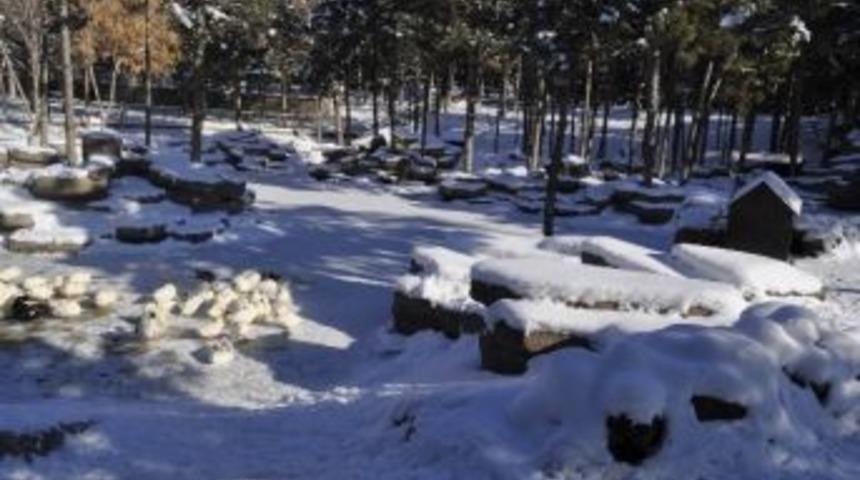 Suni G&ouml;l Buz Tuttu