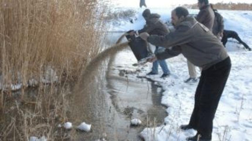Yabani Hayvanlara Yem Takviyesi