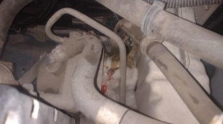 (&ouml;zel Haber) Isınmak İ&ccedil;in Aracın Motoruna Giren Kedi Canından Oluyordu