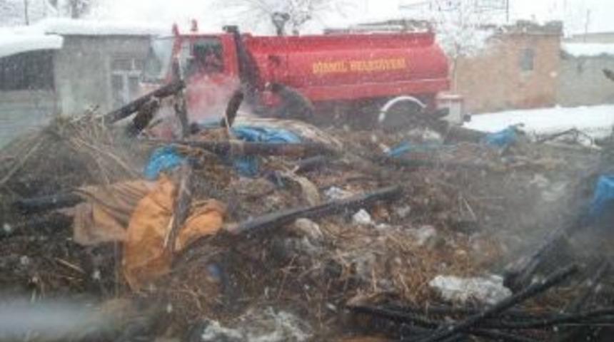 Ahırda &Ccedil;ıkan Yangında &Ccedil;ok Sayıda Hayvan Telef Oldu