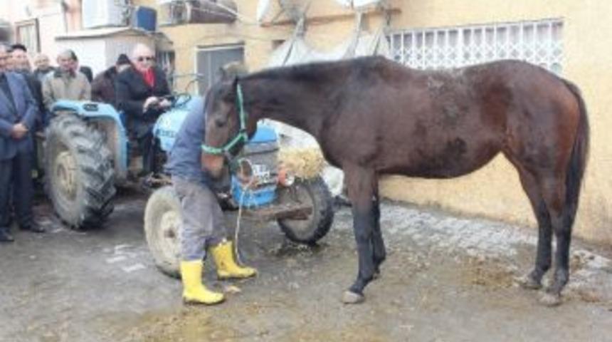 Chp Milletvekili Ensar &Ouml;ğ&uuml;t&rsquo;ten İlgin&ccedil; Eylem