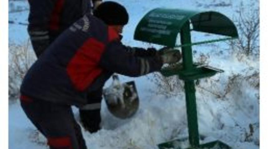 Talas Belediyesi Yaban Hayatı Unutmadı