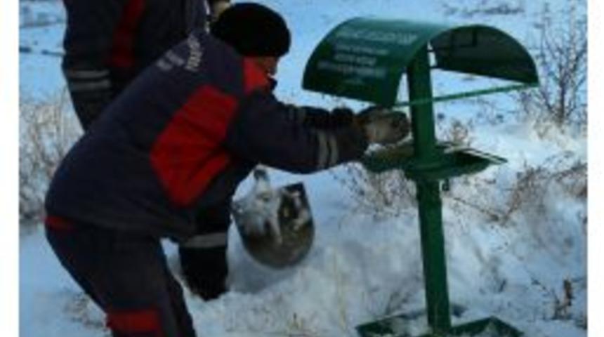 Ali Dağı&rsquo;ndaki Yaban Hayvanları Unutulmadı